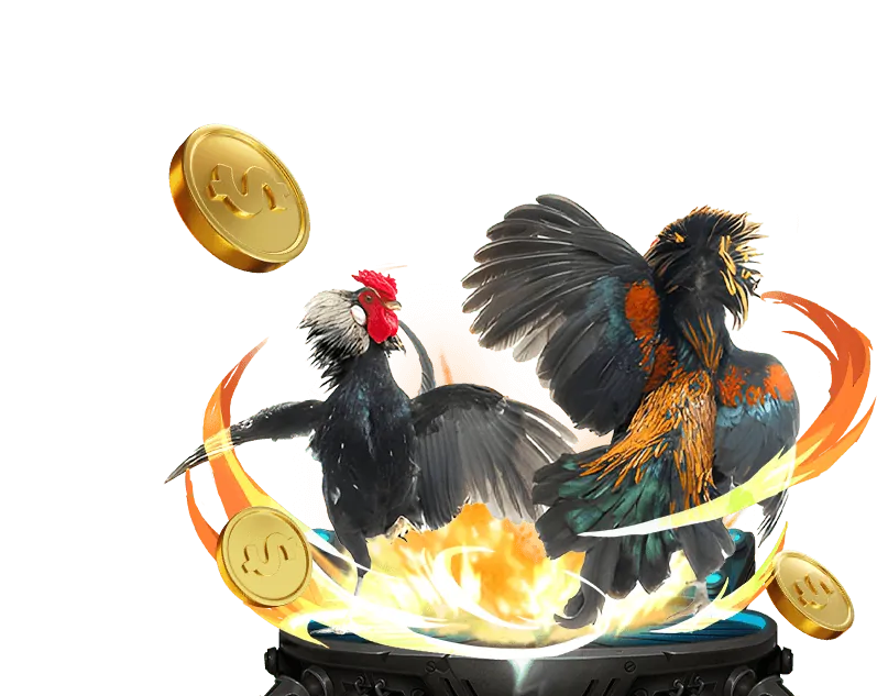 Đường Dây Nóng